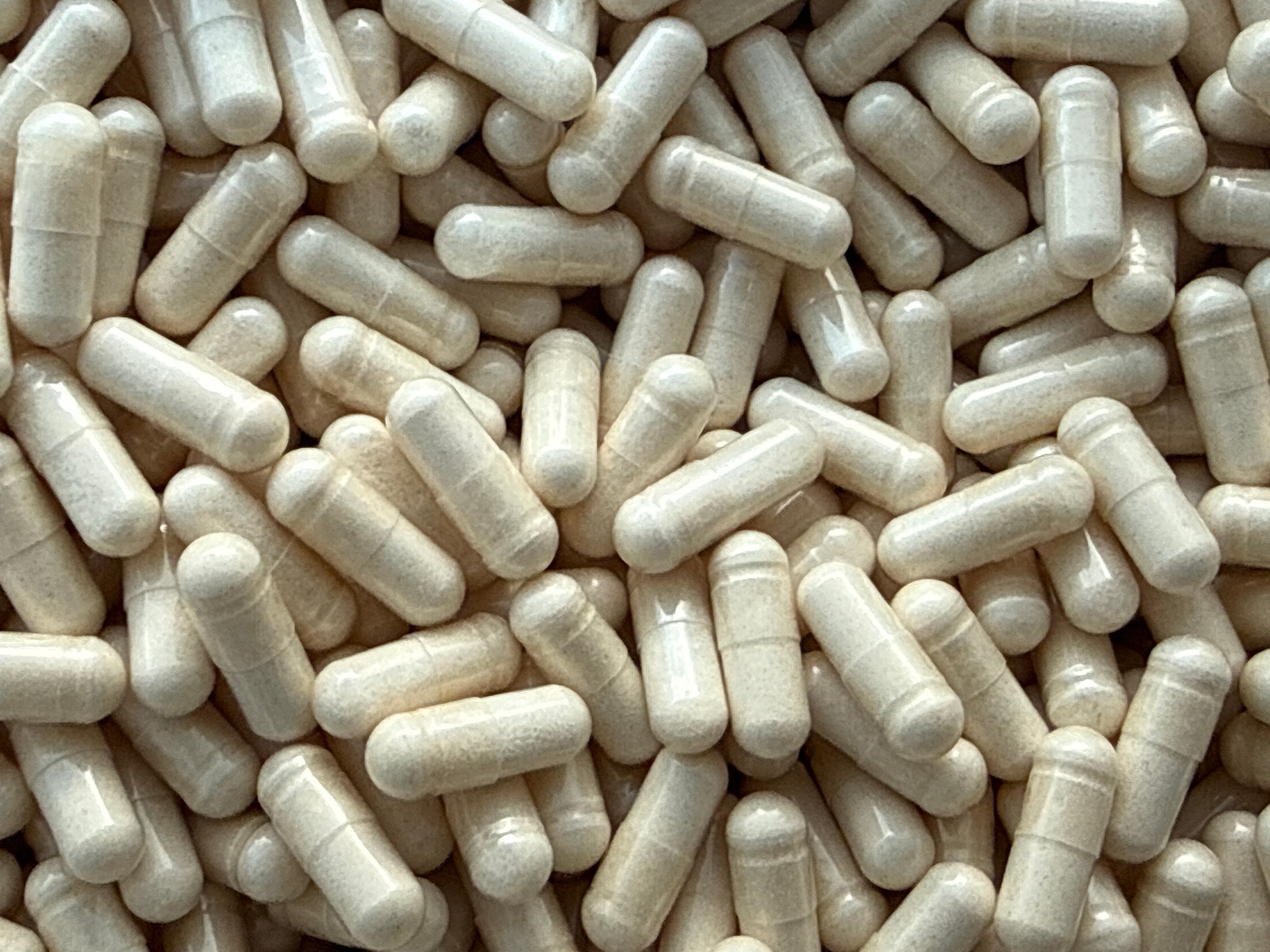 Beta-Ecdysteron 98% – Kapselen – BulkLab Nutrition