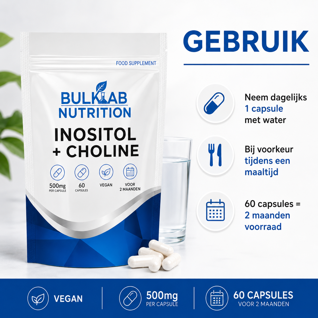 Inositol + Cholin - Kapselen - BulkLab Nutrition