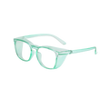 Sécherheetsbrëller (Anti Dust & Fog)