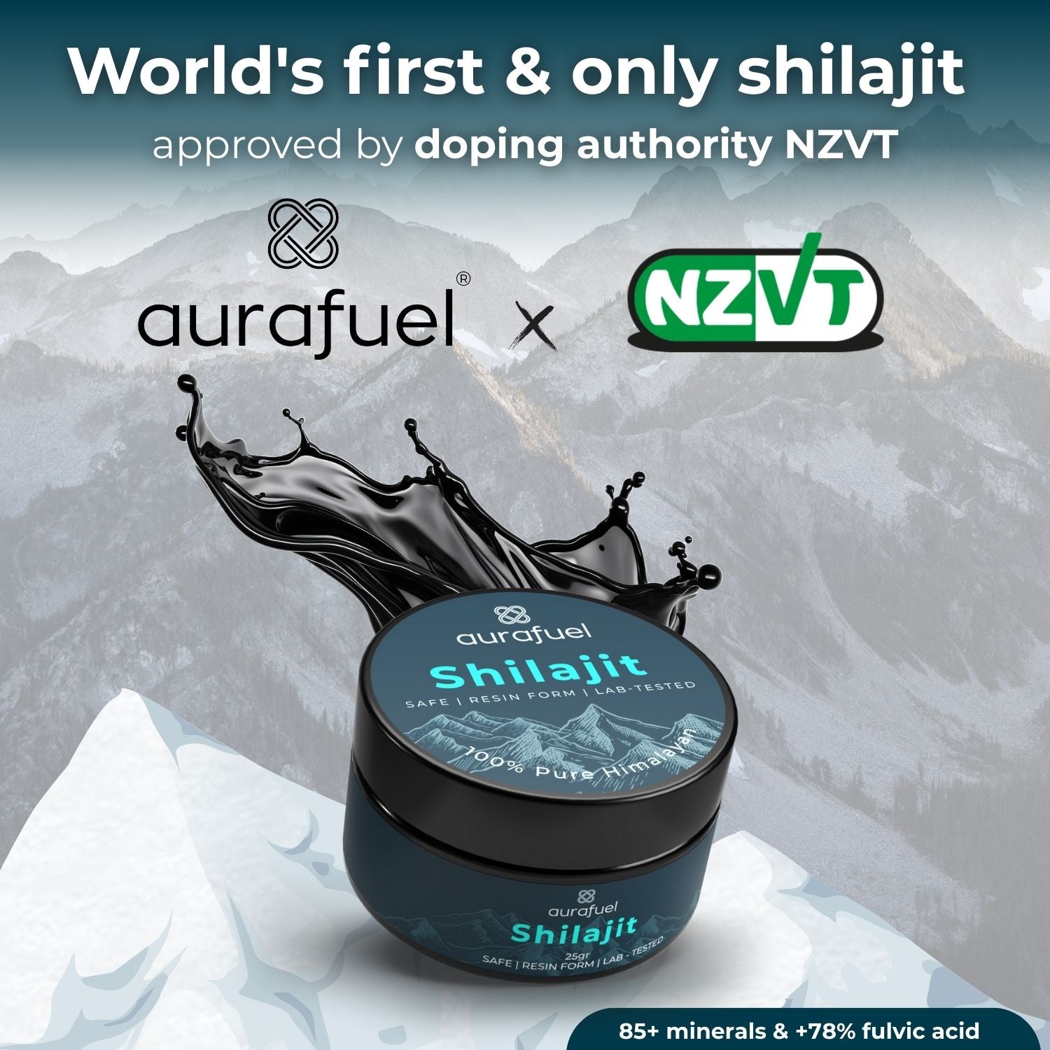 Pure Shilajit Harz aus dem Himalaya - 100% authentesch a gereinegt
