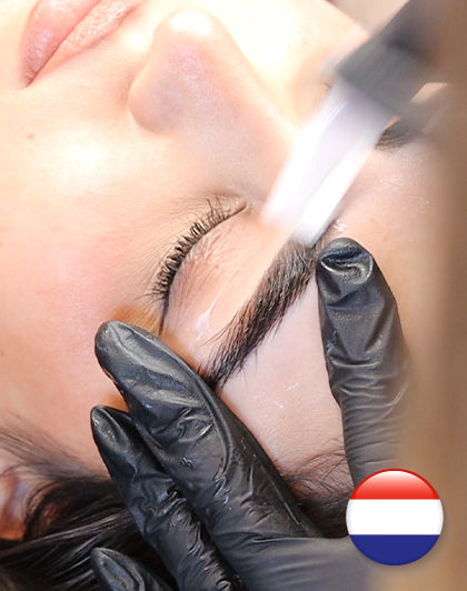Online Training Browstyling - Nederlands (Kartéierung a Waxing)