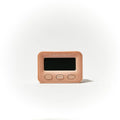 Hygrometer / Fiichtegkeetsmeter