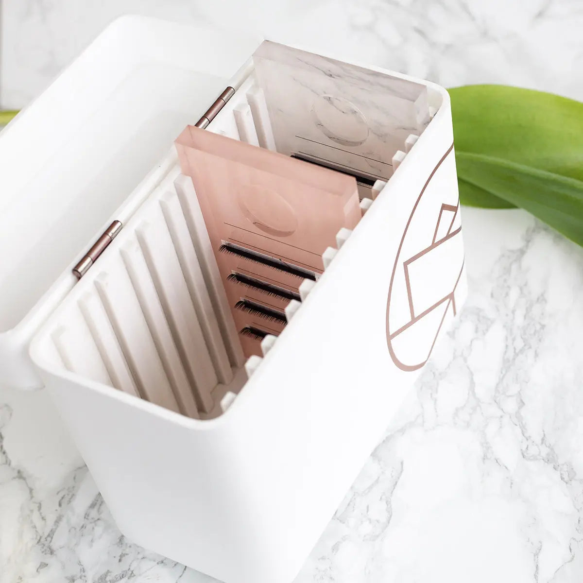 Lash Tray Lagerung